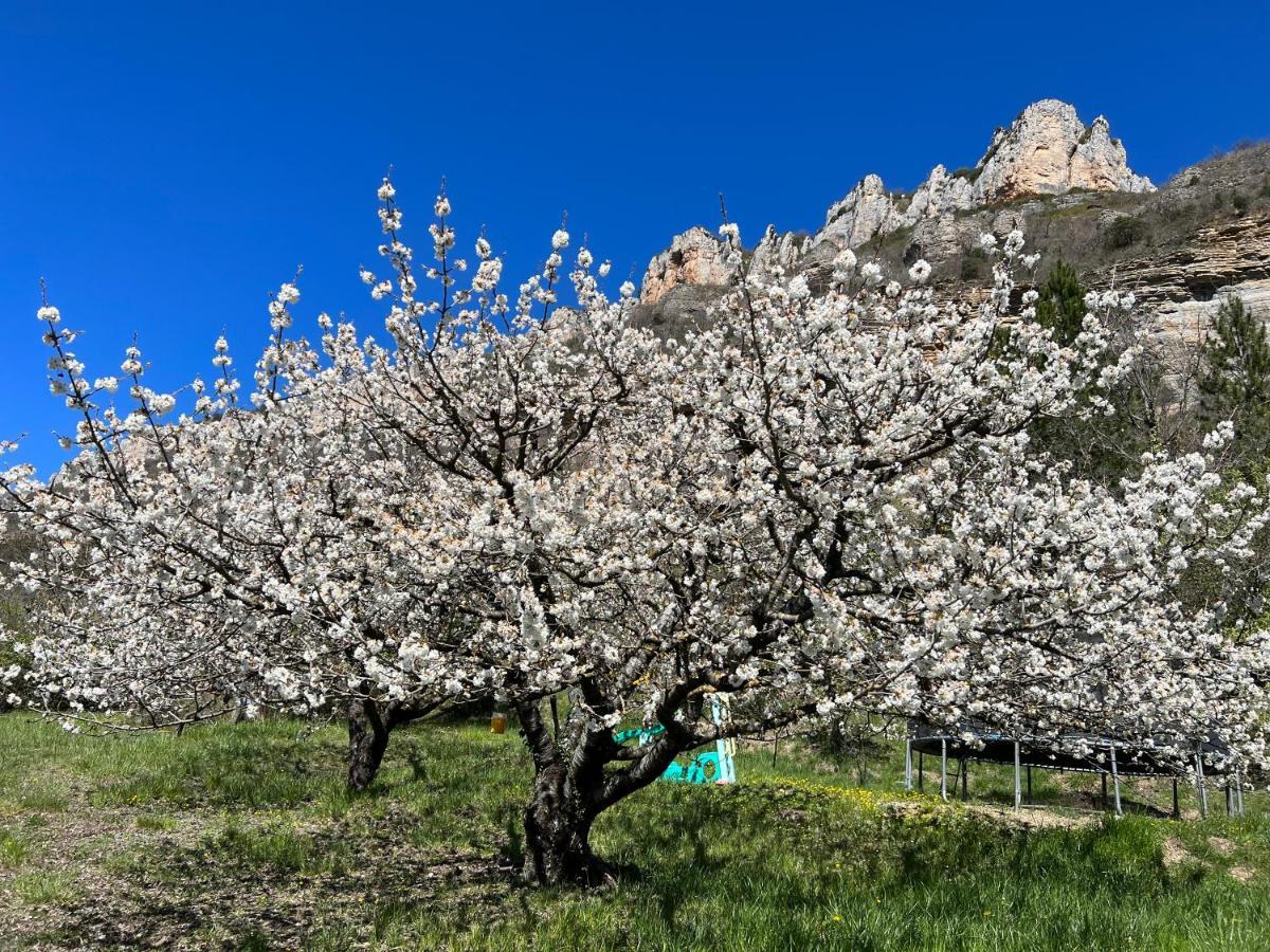Gite Du Vallon Des Sources Millau Exteriör bild